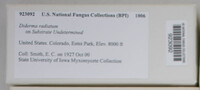 Image Associated With the Occurence